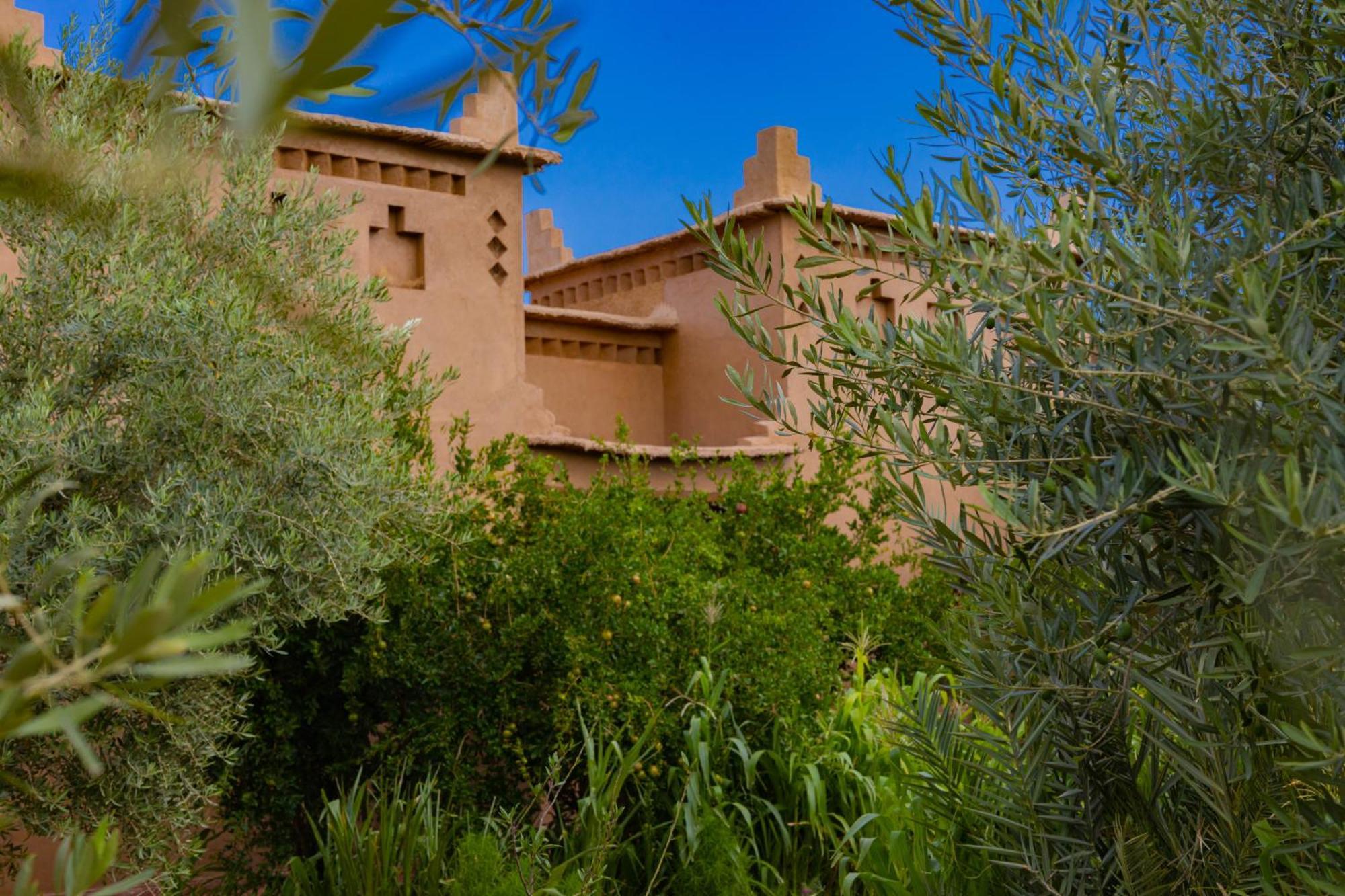 Maison D'Hote Amridil Skoura Εξωτερικό φωτογραφία