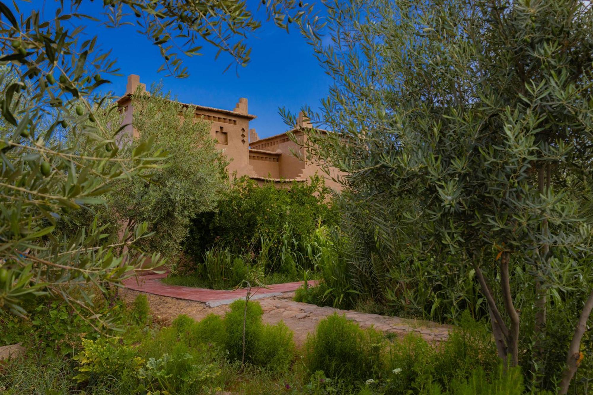 Maison D'Hote Amridil Skoura Εξωτερικό φωτογραφία