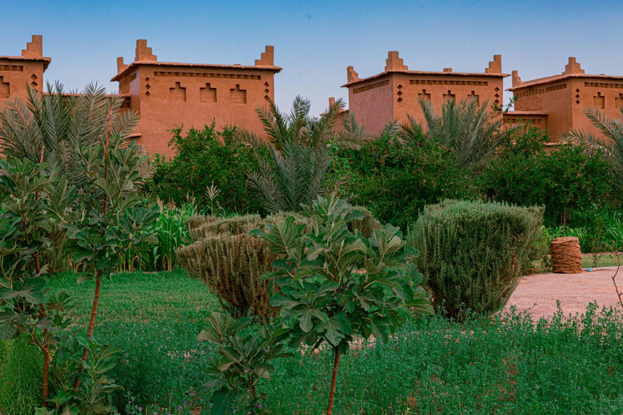 Maison D'Hote Amridil Skoura Εξωτερικό φωτογραφία